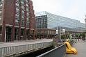 IMG_9486